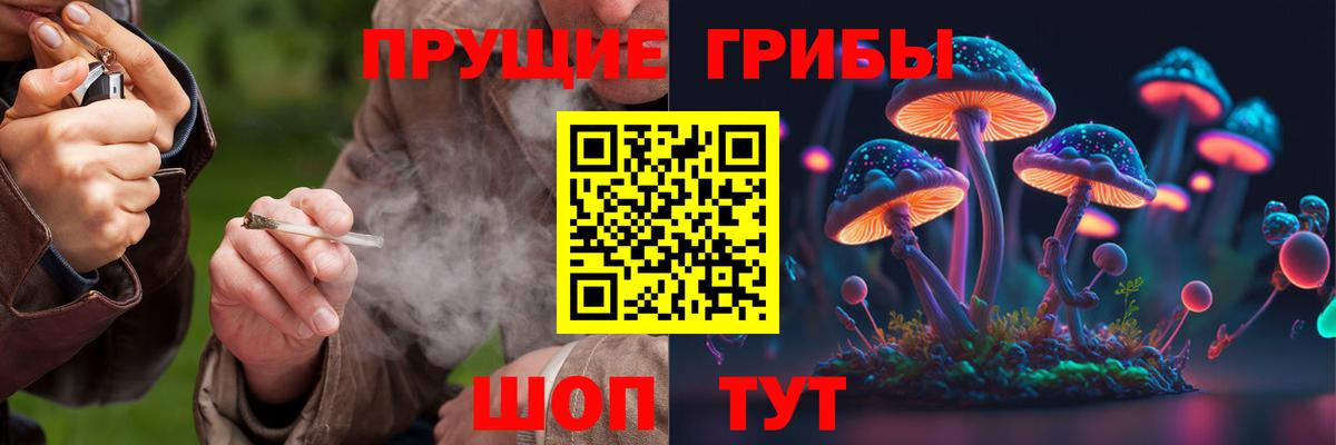 Псилоцибиновые грибы мухоморы Армавир